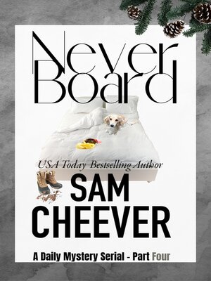 cover image of Never Board Part Four